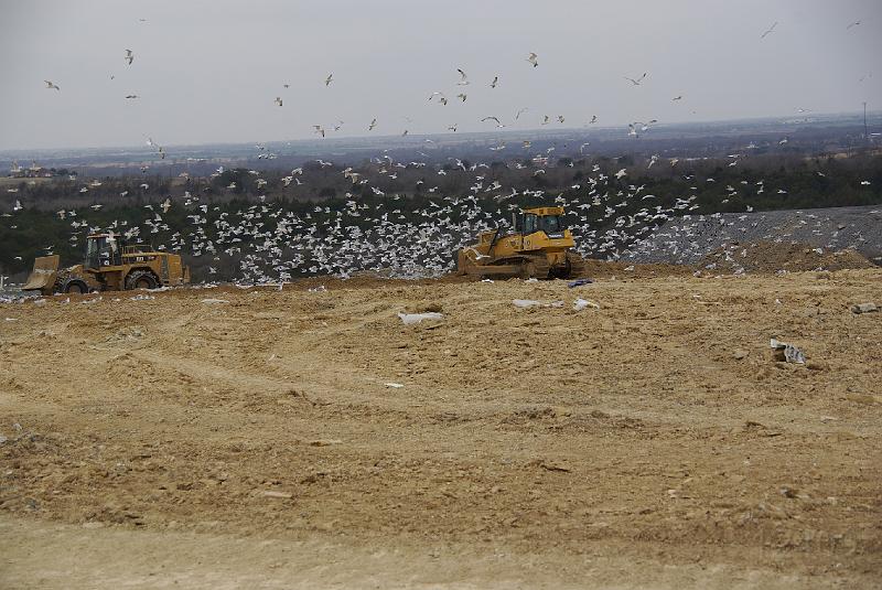 012409 Waco Landfill 010.jpg